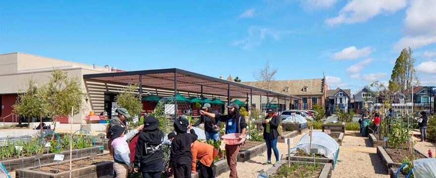 The Center at OUSD Connects Environment, Food, and Garden Education for Students, Staff – and the Community